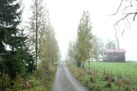 Autumn landscapes from  Kangasala, Finland