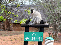 Kruger