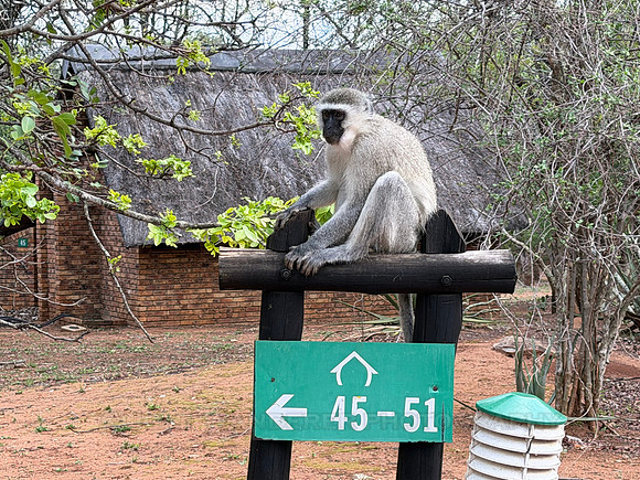 Kruger