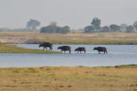 Buffalo river crossing