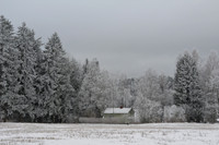 Winter landscape