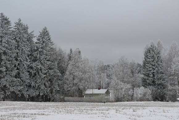 Winter landscape