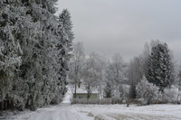 Winter landscape