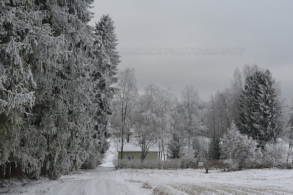 Winter landscape