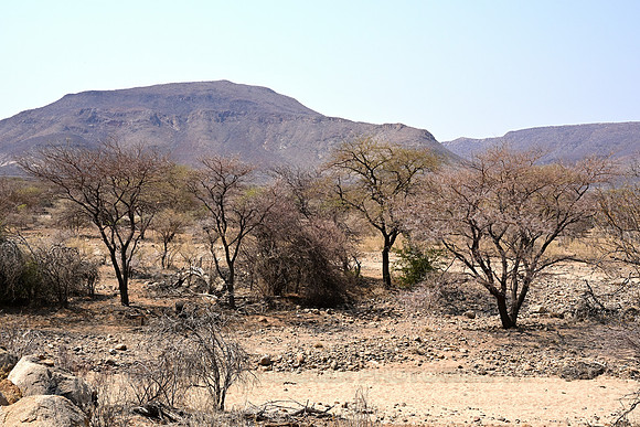 Dry river bed