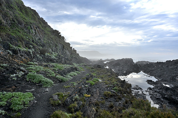 Natures Valley