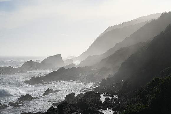 Rocky coast at Garden Route National Park