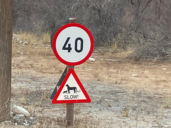 Slow down
