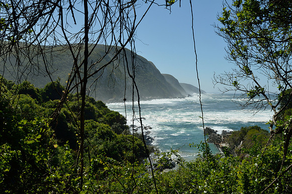 Vegetation, steep cliffs and rough seas