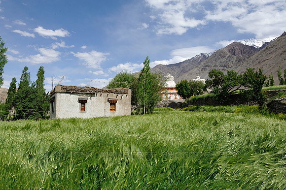 Village house