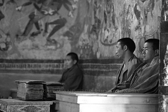 Monks during morning prayer