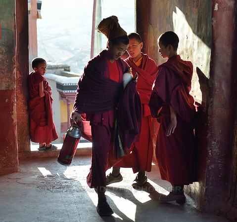 Young monks in the morning sun