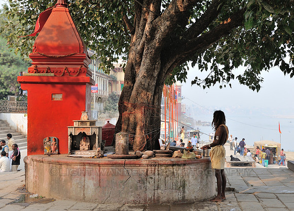 Sadhu standing under the tree