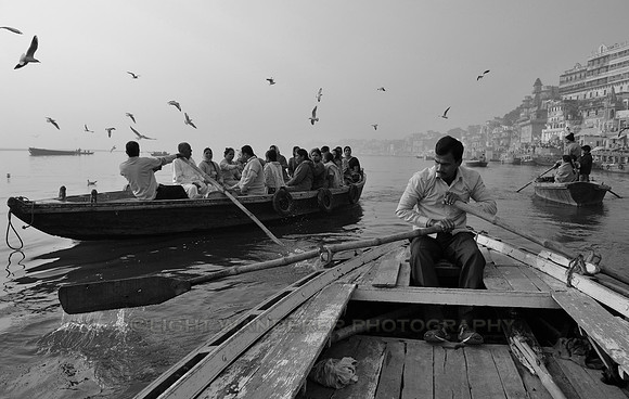 Rowing boats on Ganges river, seagulls in the air