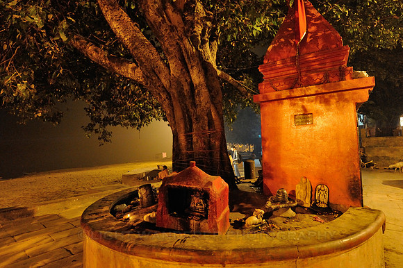 Religious objects under a tree