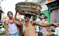 Vegetable market porters
