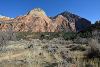 Hiking trail through grassland