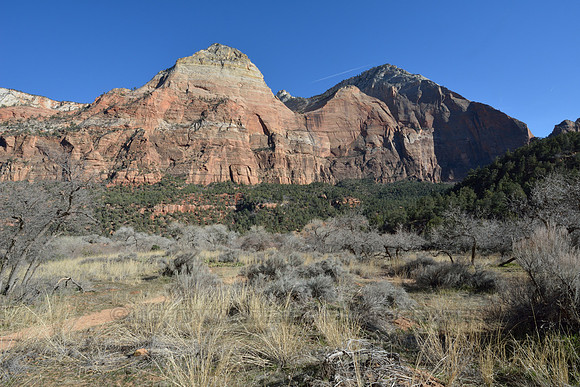 Hiking trail through grassland