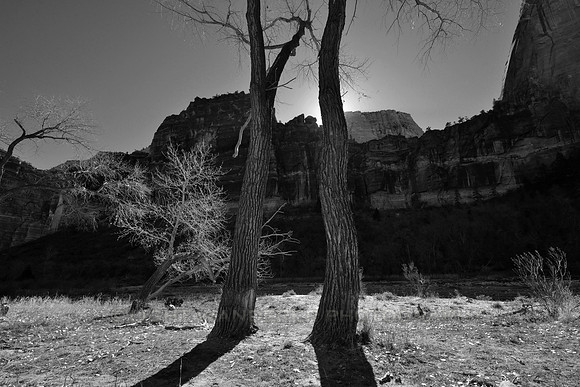 Sunrise view from Zion Canyon