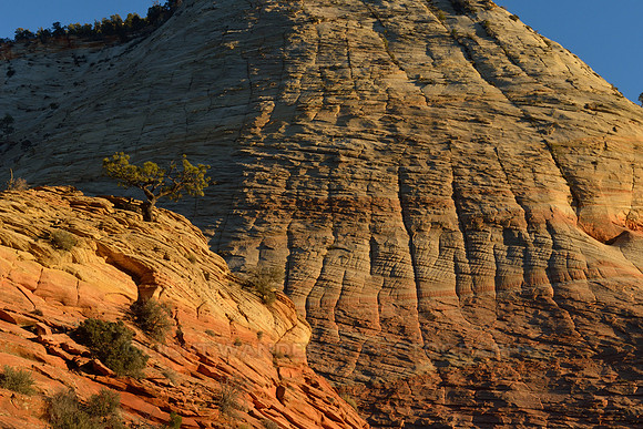 Sunset light highlights colors and patterns on the rock