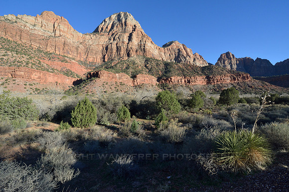 Zion Canyon in sunset