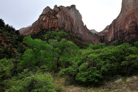 Eroded rocks and green foliage