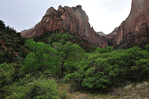 Eroded rocks and green foliage