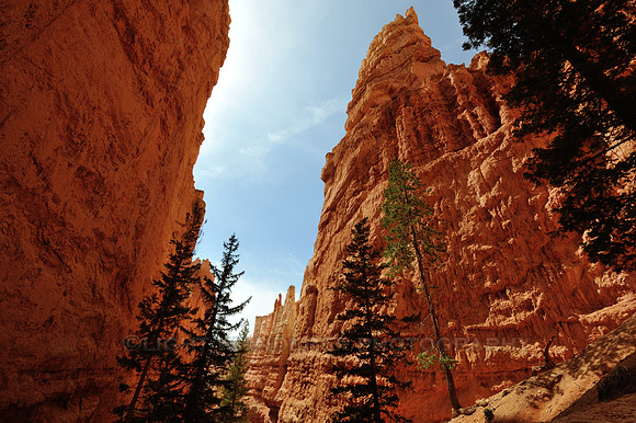 Great walls of eroded red rock