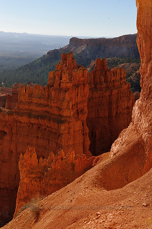 Red rocks in sunset light