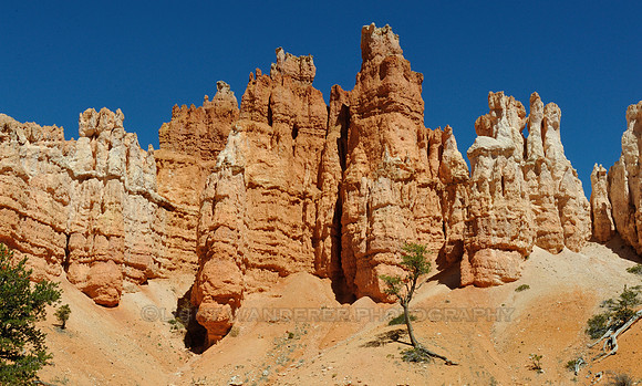 Hoodoos in Bryce Canyon National Park