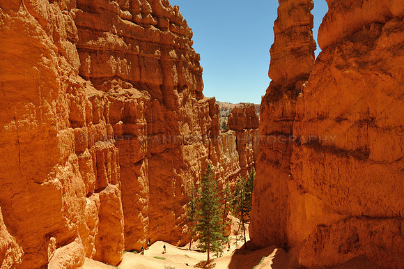 Hikers on bottom of a red rock gorge