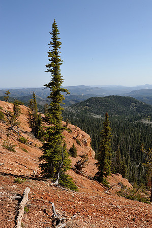 Red earth, green forest and blue sky
