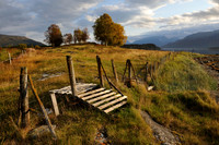Seaside meadows with fence