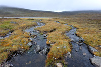 Stream running through treeless tundra