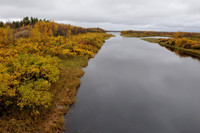 Dark water river through swampy land