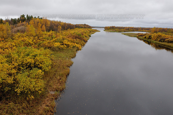 Dark water river through swampy land