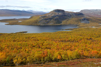 Trees turn into happy colours of fall