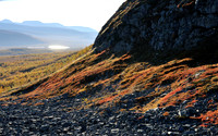 Late afternoon light highlights beautiful autumn colours
