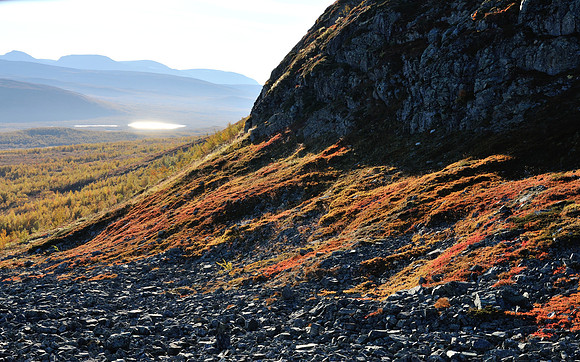Late afternoon light highlights beautiful autumn colours