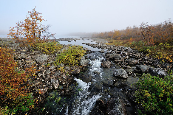 Quiet, foggy morning of September
