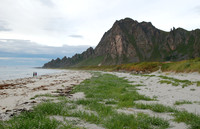 People walking on the beach