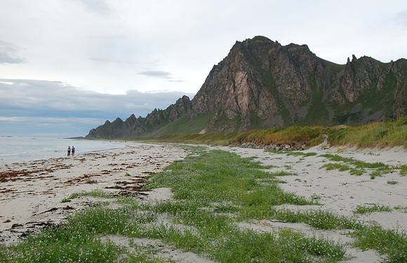 People walking on the beach