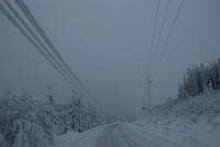 Everything covered by ice and snow