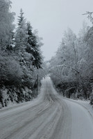 Country road in winter