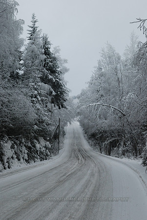 Country road in winter