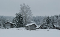 Old barns in snow covered field