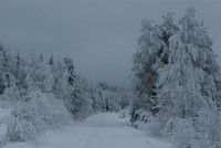 Blue moment in Finland winter