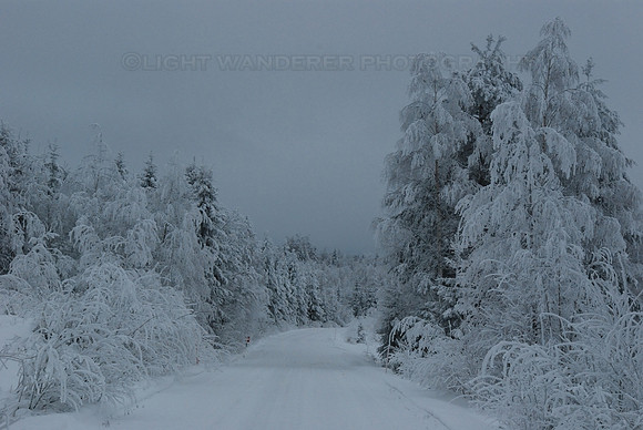 Blue moment in Finland winter