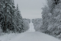 Country road in winter