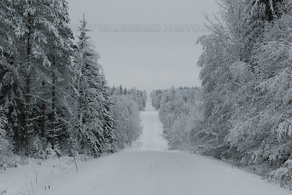 Country road in winter
